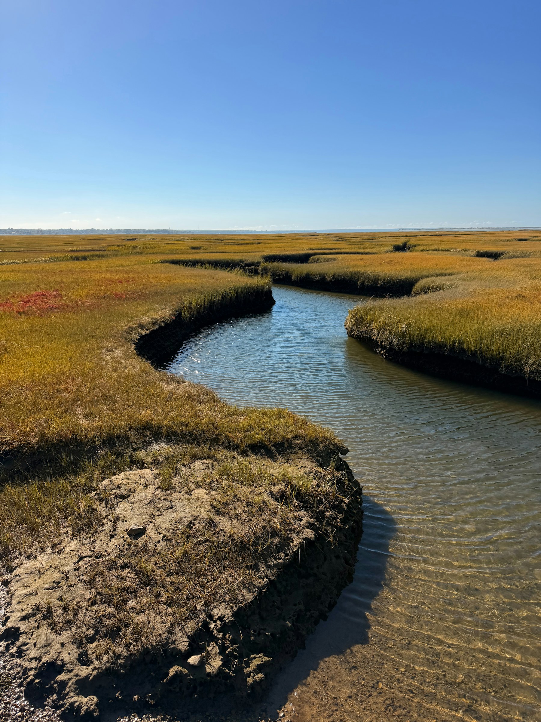A winding stream through a Cape Cod marsh