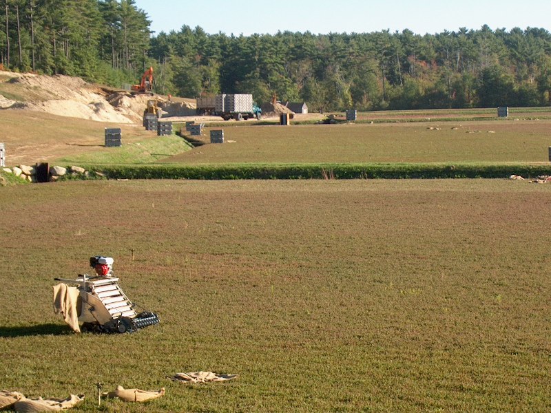 Dry cranberry harvesting at a Massachusetts bog