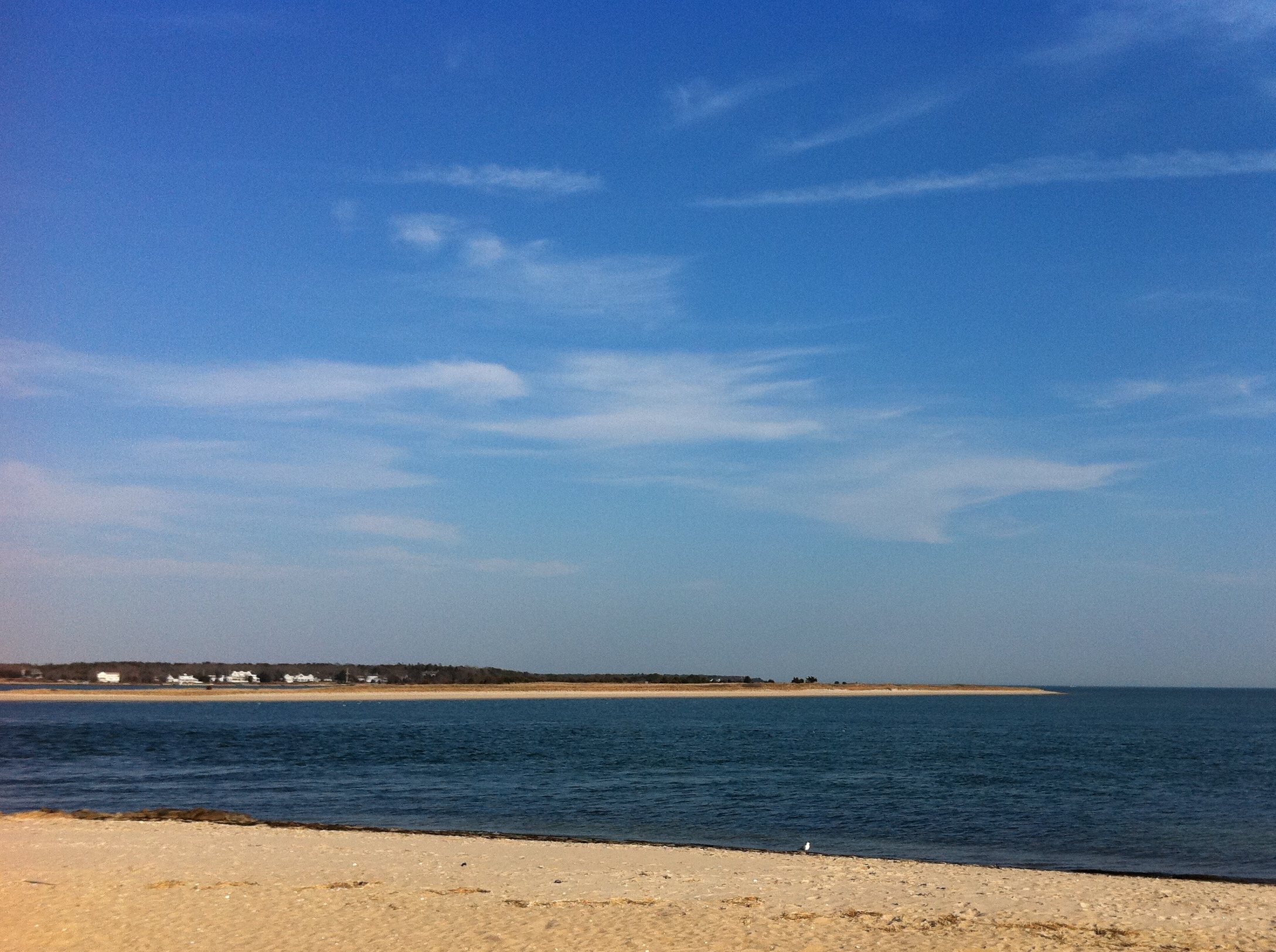 Sampson's Island off the Cotuit shoreline